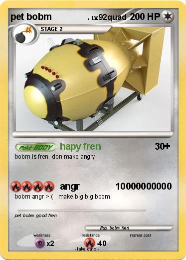 Pokemon pet bobm              .