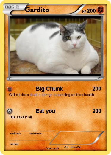 Pokemon Gardito