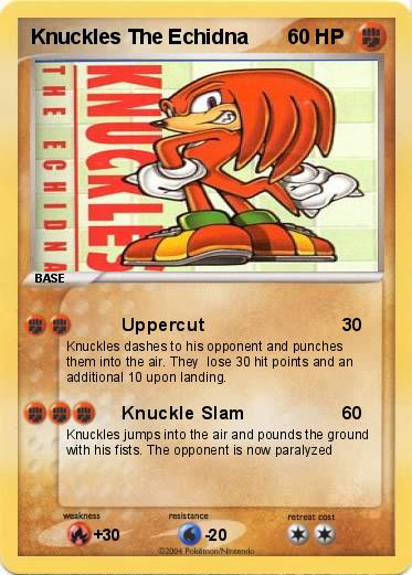 Pokemon Knuckles The Echidna