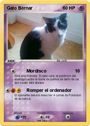 Pokemon Gato Bérnar