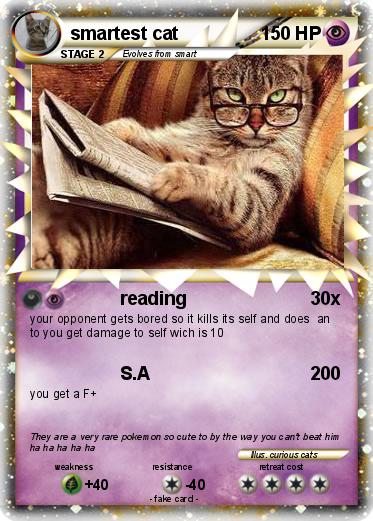 Pokemon smartest cat