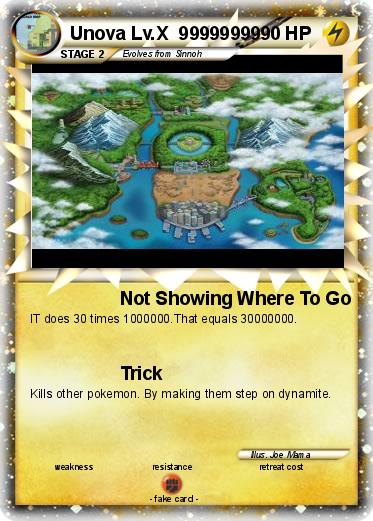 Pokemon Unova Lv.X  99999999