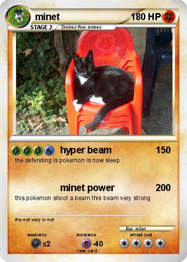 Pokemon minet