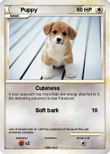 Pokemon Puppy