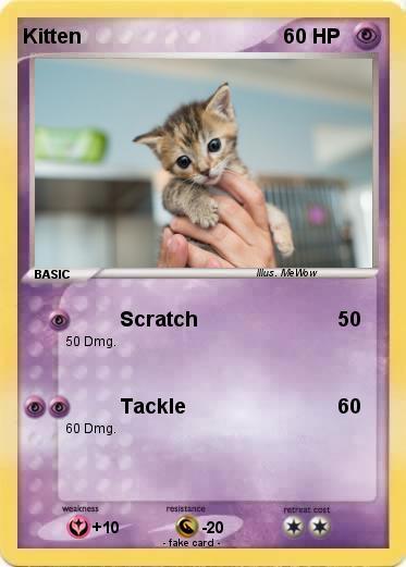 Pokemon Kitten