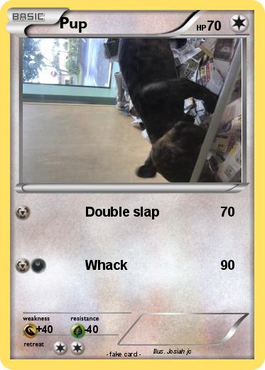 Pokemon Pup
