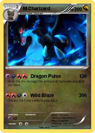 Pokemon M Charizard