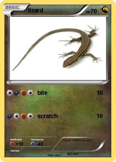 Pokemon lizard