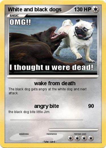 Pokemon White and black dogs