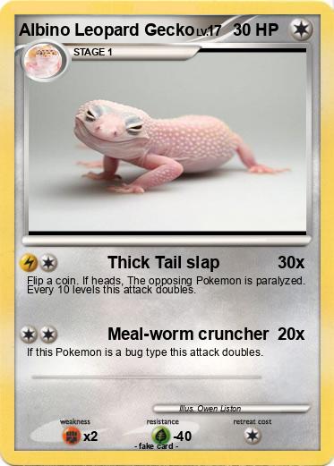Pokemon Albino Leopard Gecko