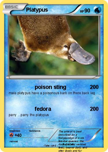 Pokemon Platypus