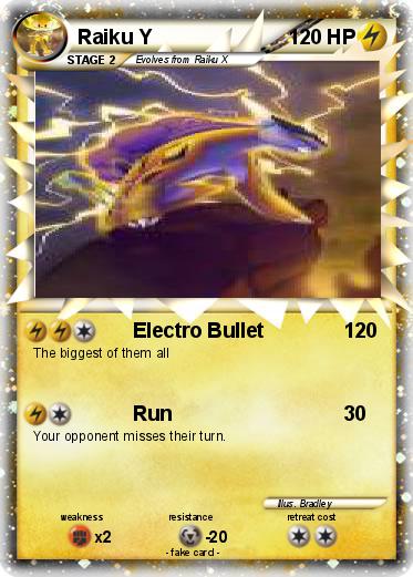 Pokemon Raiku Y