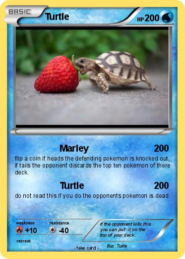 Pokemon Turtle
