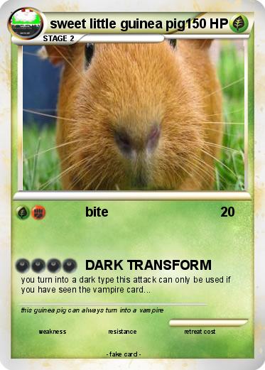 Pokemon sweet little guinea pig