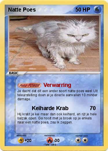 Pokemon Natte Poes