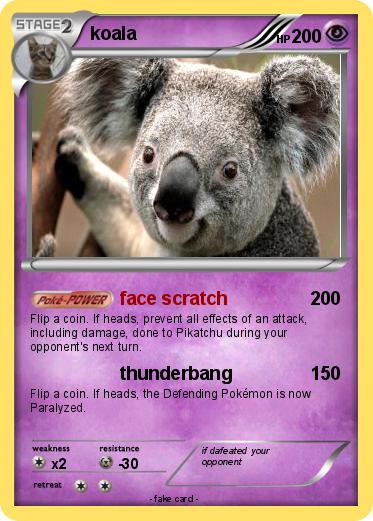 Pokemon koala
