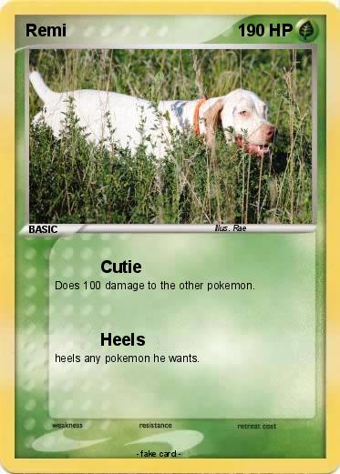 Pokemon Remi