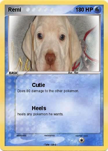 Pokemon Remi