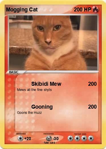 Pokemon Mogging Cat