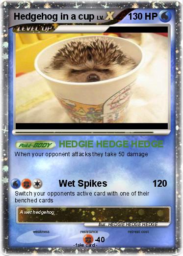 Pokemon Hedgehog in a cup
