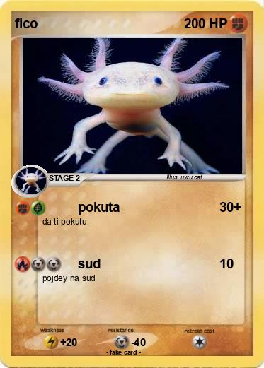 Pokemon fico