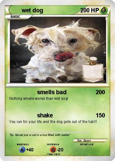 Pokemon wet dog