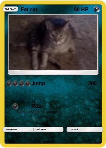 Pokemon Fat cat