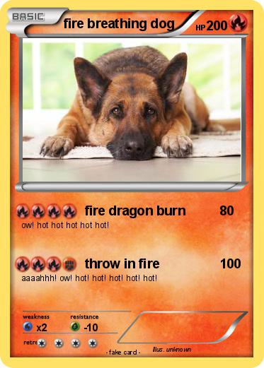 Pokemon fire breathing dog