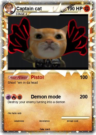 Pokemon Captain cat