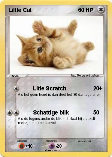 Pokemon Liltle Cat