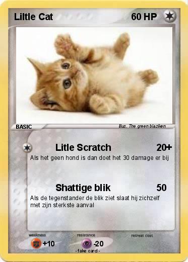 Pokemon Liltle Cat