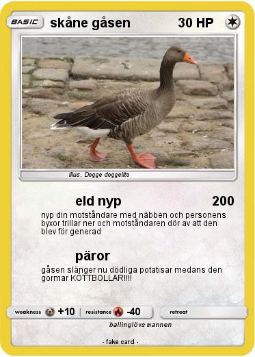 Pokemon skåne gåsen