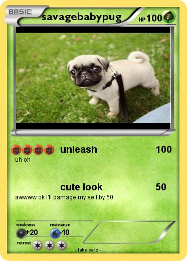 Pokemon savagebabypug