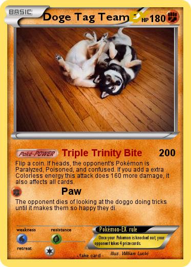 Pokemon Doge Tag Team