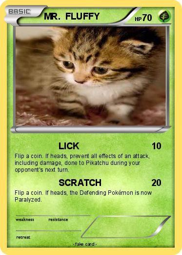 Pokemon MR.  FLUFFY