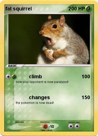Pokemon fat squirrel