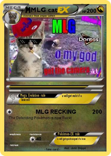 Pokemon MLG cat