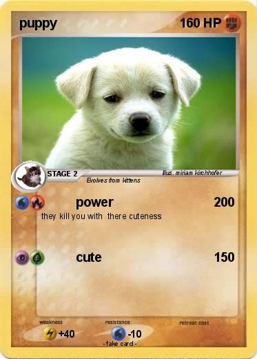 Pokemon puppy