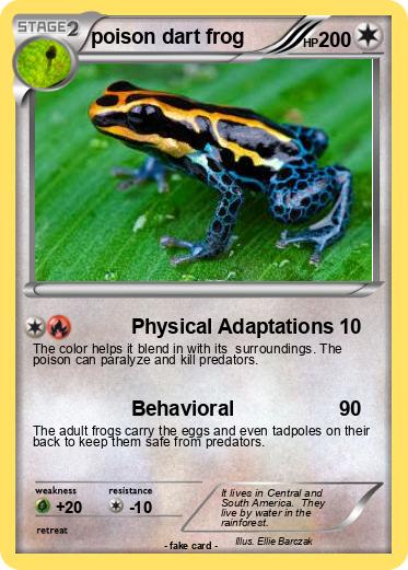 Pokemon poison dart frog