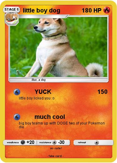 Pokemon little boy dog