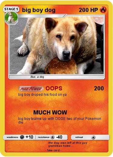 Pokemon big boy dog