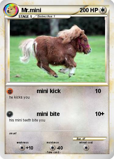 Pokemon Mr.mini