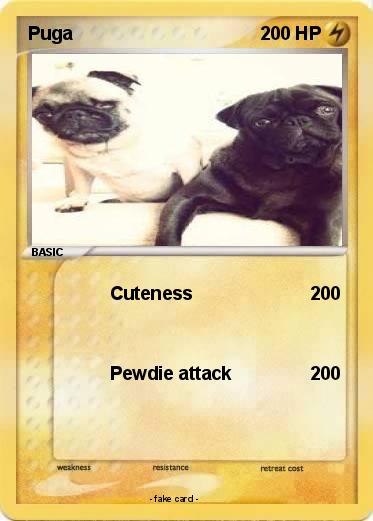 Pokemon Puga