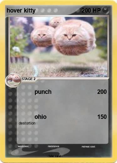 Pokemon hover kitty