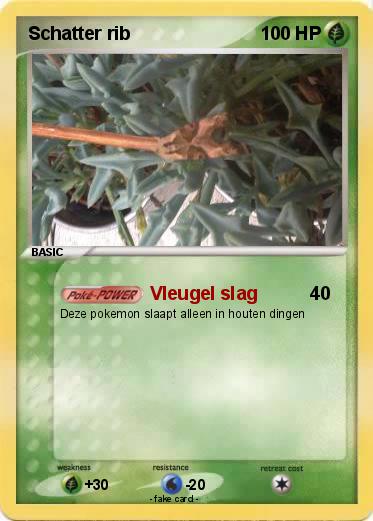 Pokemon Schatter rib