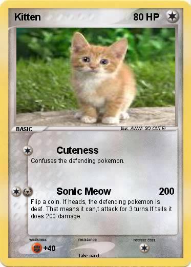 Pokemon Kitten