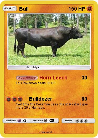 Pokemon Bull