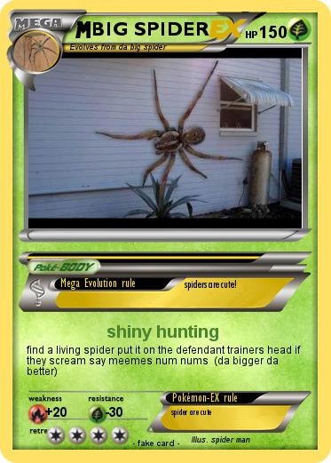 Pokemon BIG SPIDER