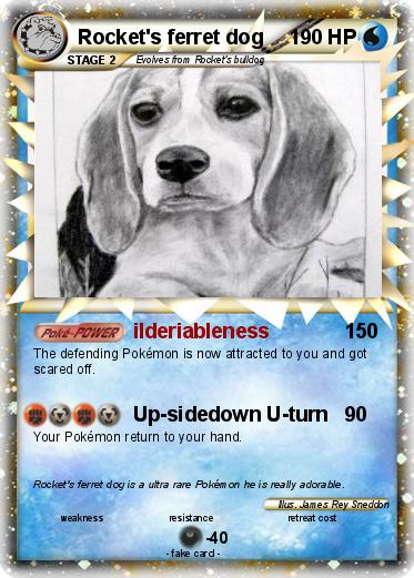 Pokemon Rocket's ferret dog