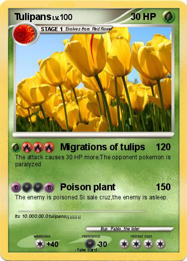 Pokemon Tulipans